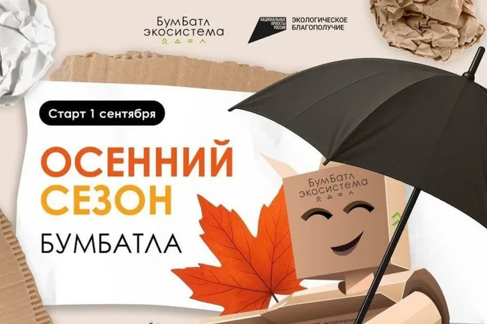 бумбатл 2025г