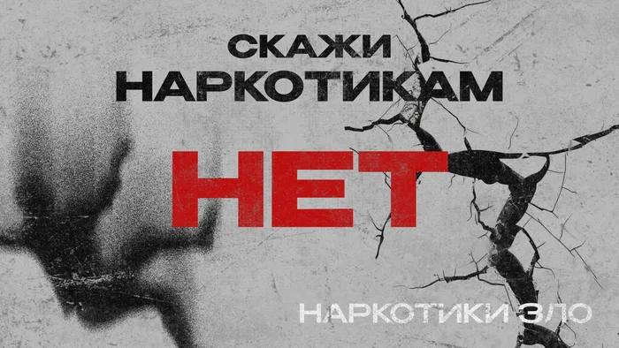 11 макет