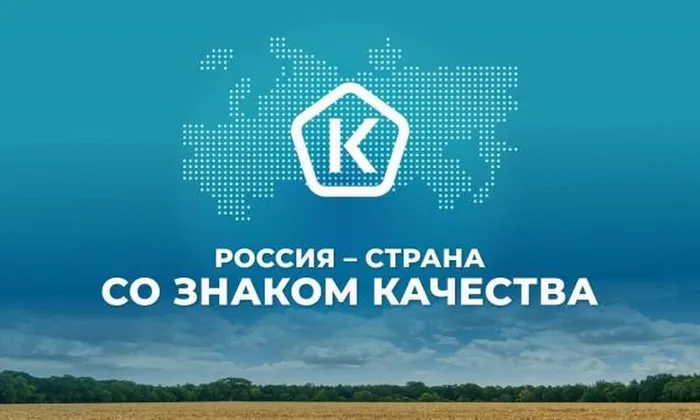 день качества