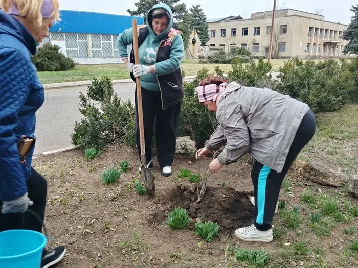 посадка деревьев 20.30 (2)