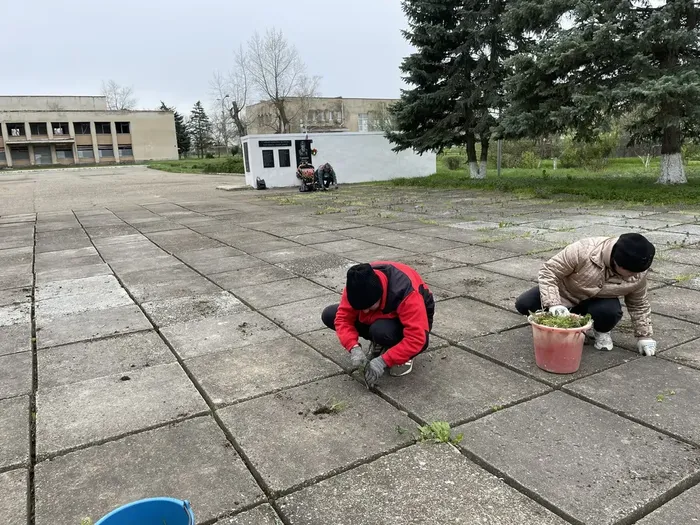 суб