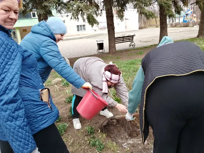 посадка деревьев 20.30 (3)