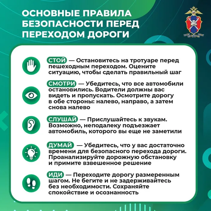 Медиапроект_Пешеходы_11