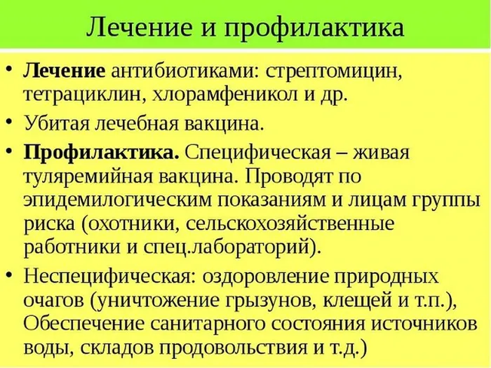 tulya20220707_1