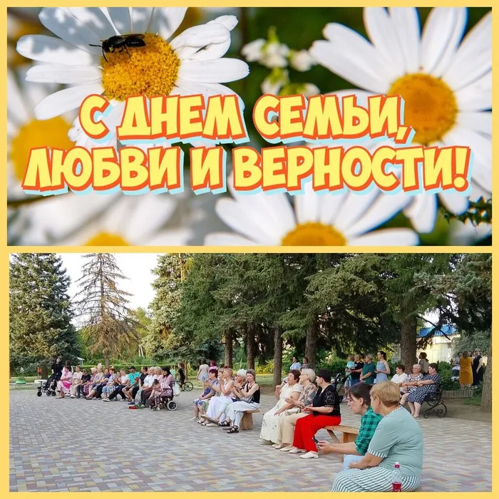 MyCollages (6)