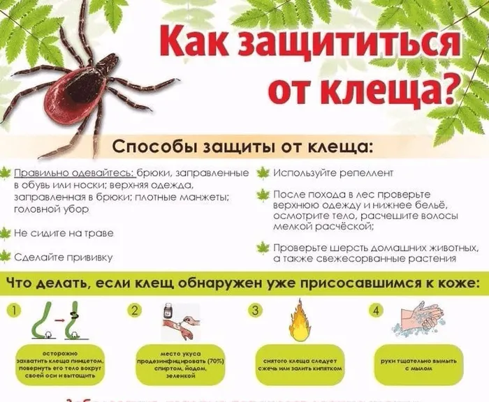 pamyatka_20210325_2